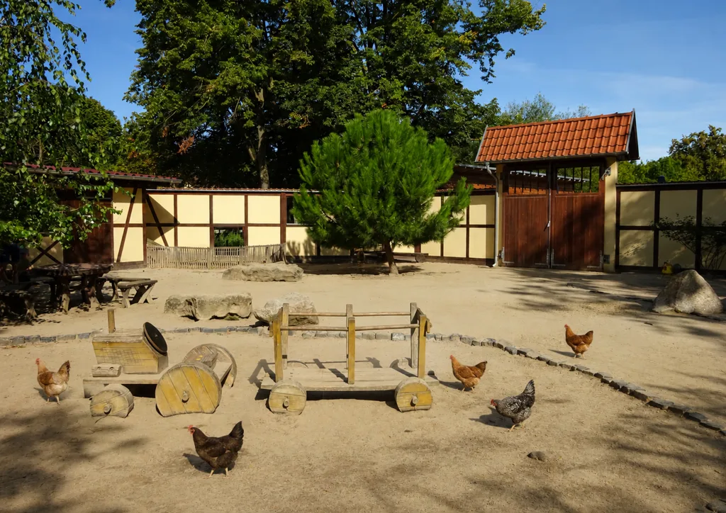 Hühnerhof  TG Worms