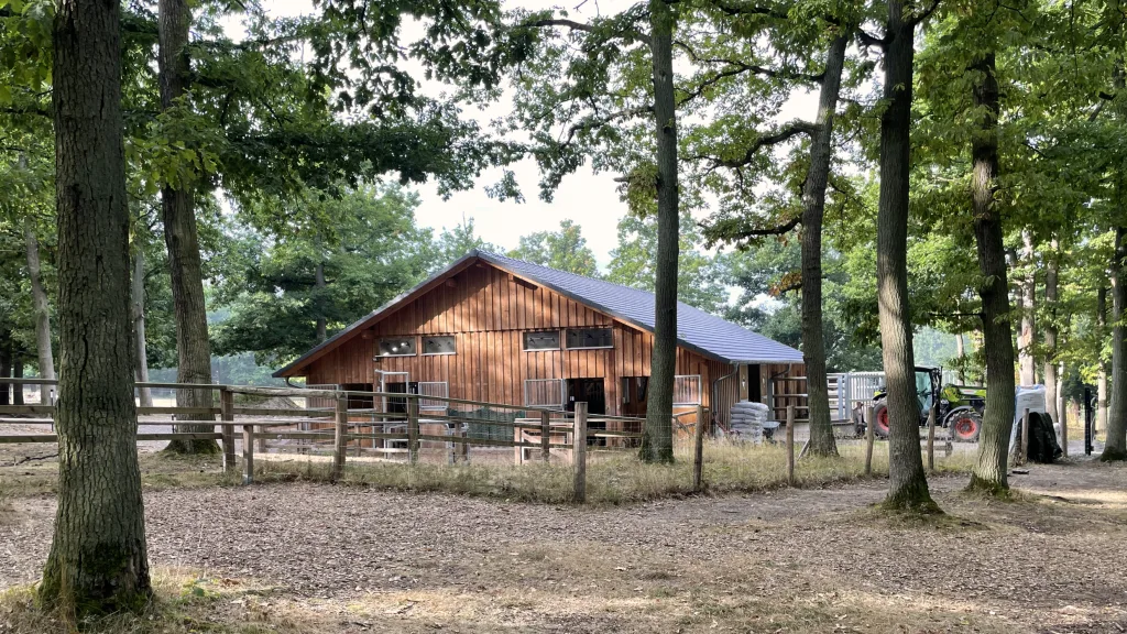 Wisentstall  WP. Edersee