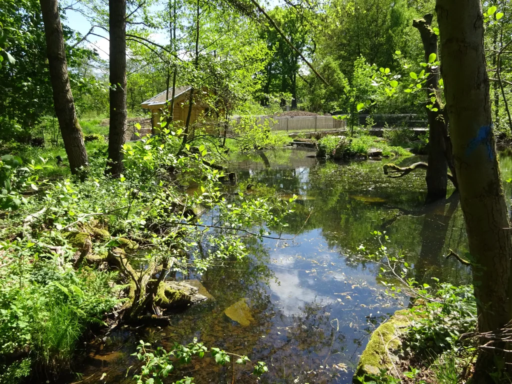 Fischotteranlage TP. Sababurg