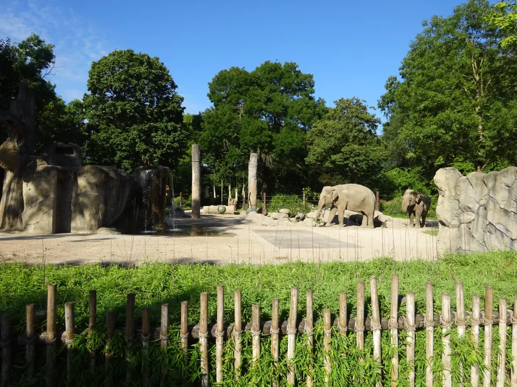 Elefantenanlage  Zoo Karlsruhe