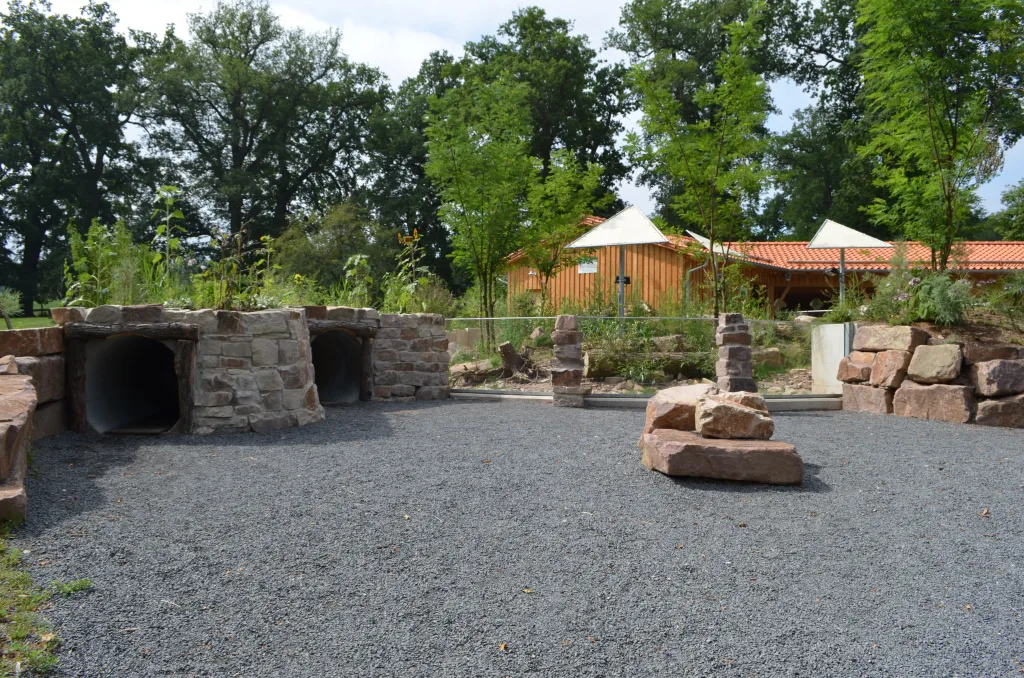 Erdmännchenanlage  TP. Sababurg