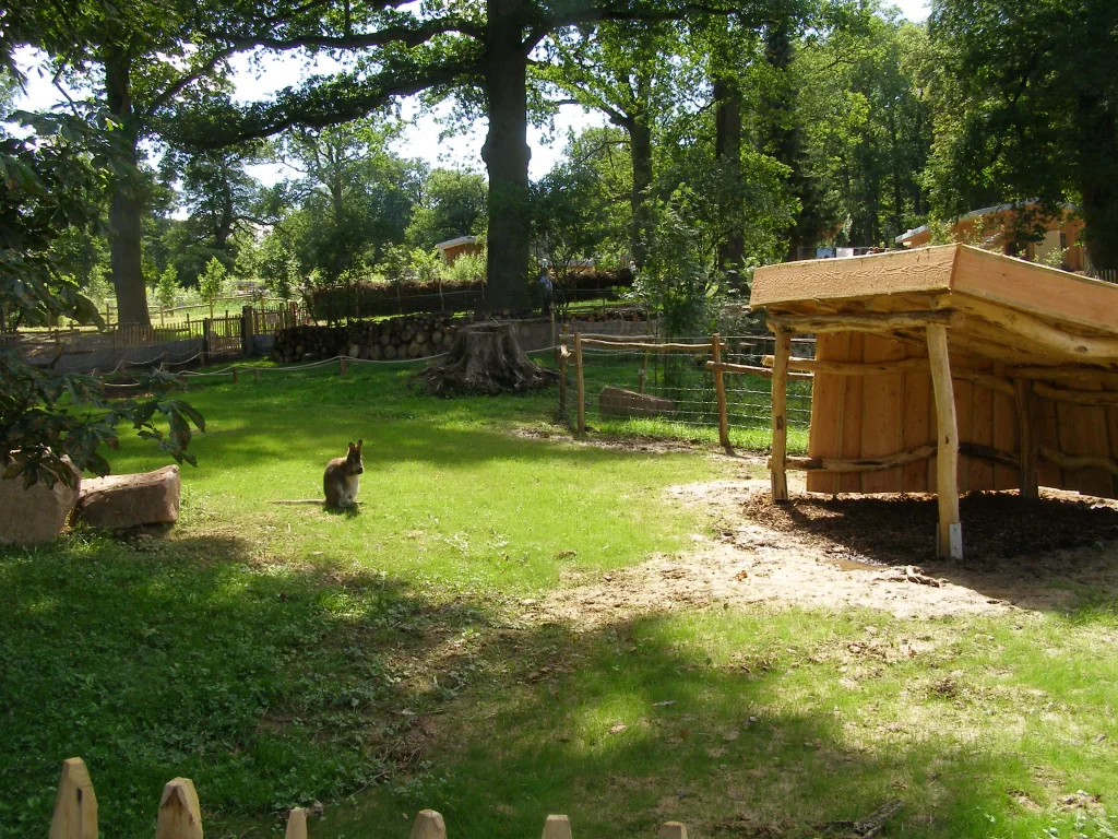 Känguruanlage  TP. Sababurg