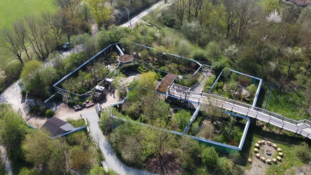 Wildkatzenfreianlage in Hütscheroda